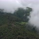 Flying Through Mist And Fog Over Mountain Forest - VideoHive Item for Sale