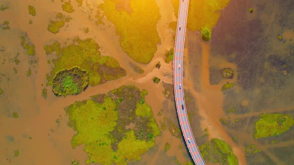 Drone video of the road leads through a large beautiful wetland.