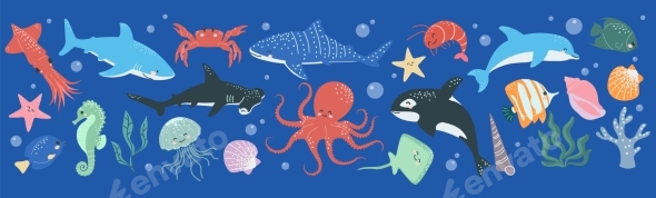 Animal Ocean