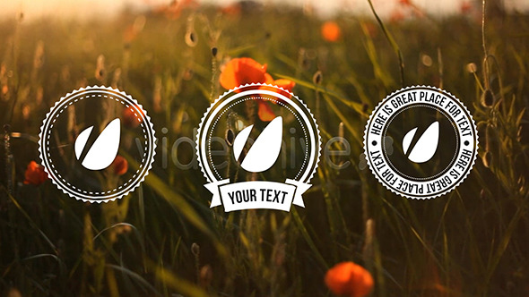 Light Vintage // Lower Thirds Pack