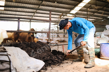 Animal Farmer