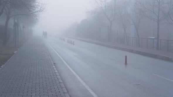 Road In Fog