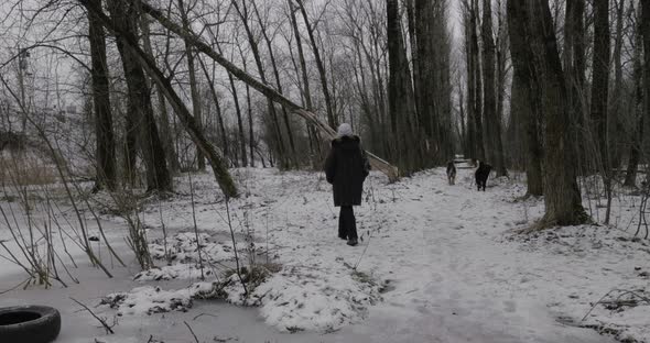 Woman and Stray Dogs in Winter Park