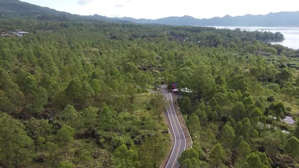 Aerial view of the asphalt road in the middle of the forest around Mount Batur on the island of Bali