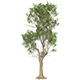 Game Ready Tree 49 - 3DOcean Item for Sale