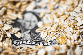 Dollar money in oat flakes