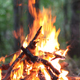 Camp Fire in Nature with Crackling Wood Burning Strong Fire 1