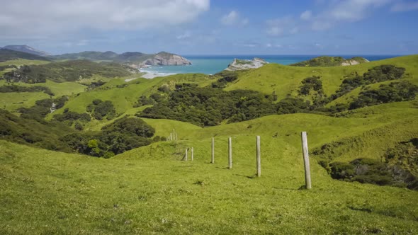 New Zealand countryside