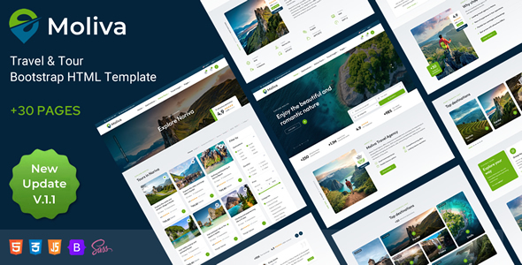 Moliva - Travel & Tour Bootstrap HTML Template