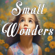 Small Wonders - AudioJungle Item for Sale