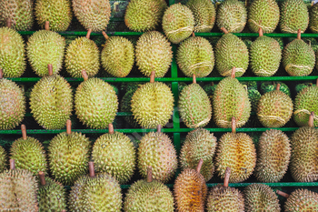 Durian fruits for sale in the fruit market of Vietnam.