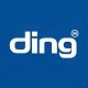 Ding Title Logo Hit 1