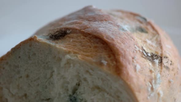 Close Up Piece of Bread Covered with Mold
