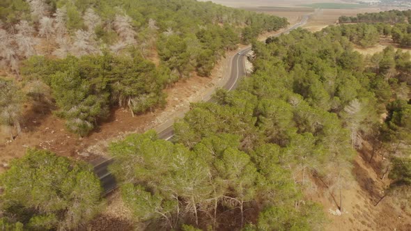 drone aerial shot of two professional road cycelists riding at the forest's empty road