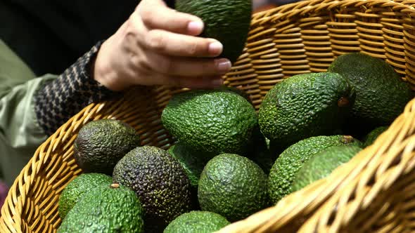 Close Up of Women Hand Buying Avocado From Local Market 