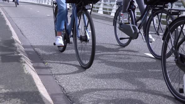 Cyclists are Riding the Bike Path