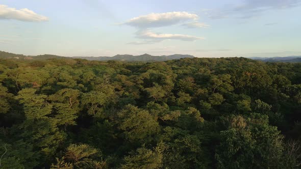 Low 4k drone flight over the coastal rainforest of Costa Rica with magnificent mountain range in bac