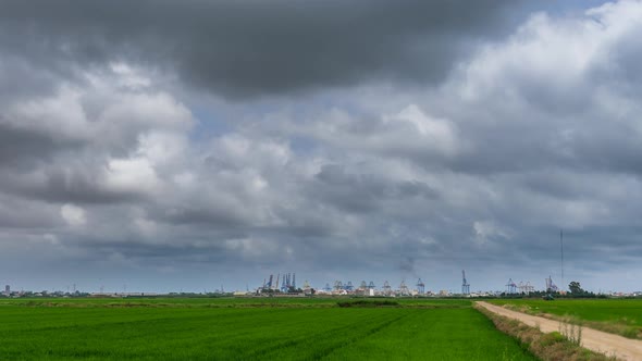 Green Rice Fields Cloudscape and Commercial Dock Timelapse