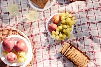 Fresh Fruits and Cookies on Blanket