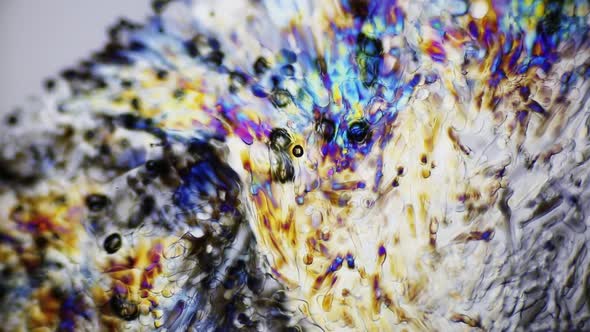 Ice Crystals Melting Under Polarized Light Microscope