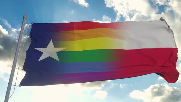 Flag of Texas and LGBT