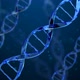 DNA - VideoHive Item for Sale