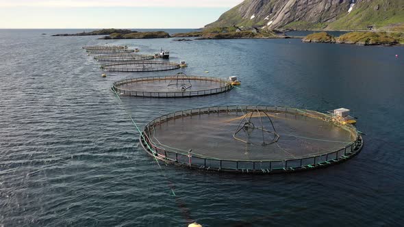 Farm Salmon Fishing in Norway