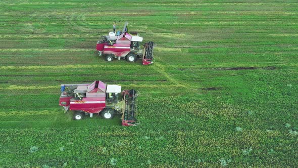 Harvesters in the Fields Harvest a View From a Height