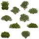 10 Game Ready Plant Bush Collection - 3DOcean Item for Sale