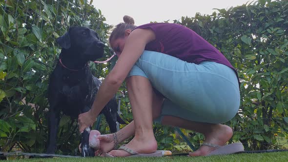 Woman wash and soap puppy in house garden. Low angle pov