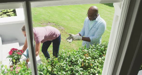 Happy senior diverse couple wearing shirts and working in garden