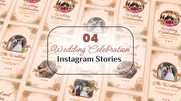 Wedding Celebration Instagram Stories