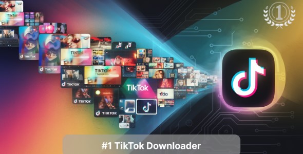 Tikdown | Tiktok Video, Audio Downloader as SaaS