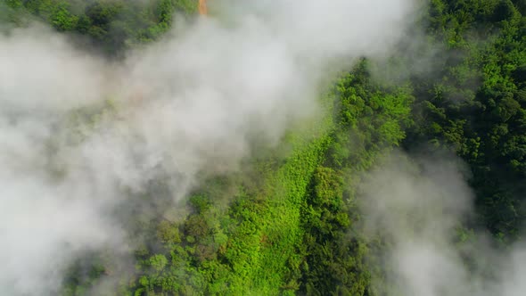 The drone Flying over the fog in the valley