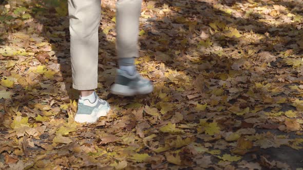 Close up view of female feet walking on a fallen autumn leaves.