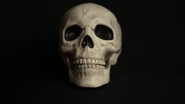 Stop motion human skull gnashing teeth on black background medium shot