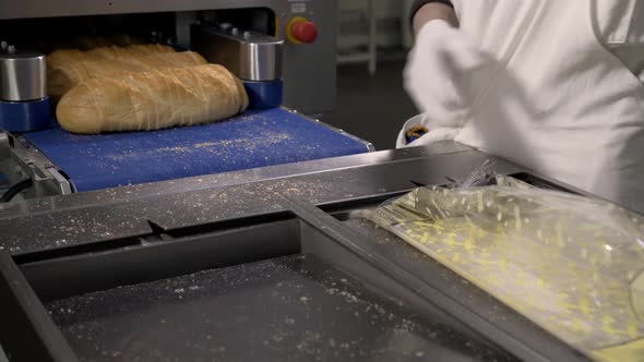 Making a Loaf of Bread in the Bakery. Loaf of Bread on the Production Line in the Baking Industry