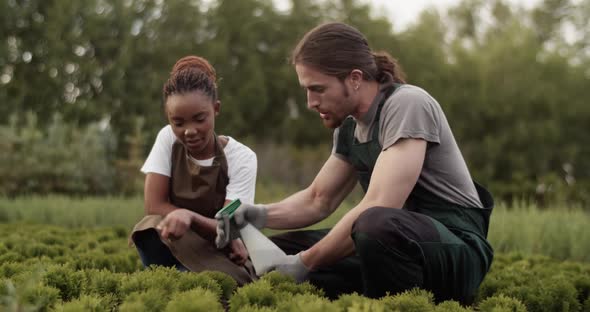 Diverse Farmers Fertilizing Plants Together