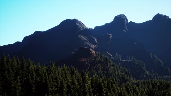 Wide Angle Shot of Mountains Landscape with Spring Forest