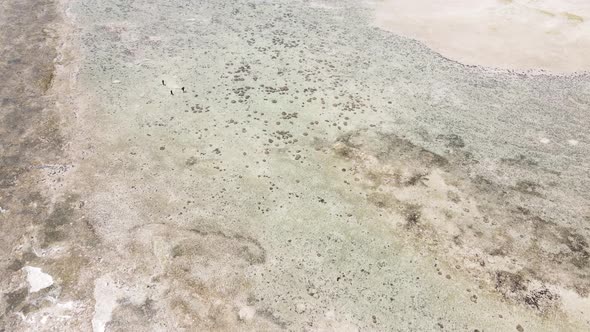 Aerial View of Low Tide in the Ocean Near the Coast of Zanzibar Tanzania Slow Motion