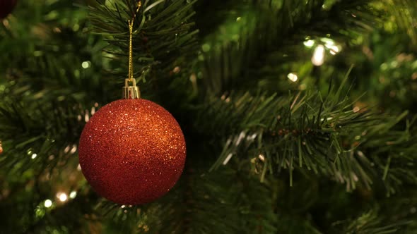 Close-up of shiny bauble on the tree brach 4K 2160p 30fps UltraHD footage - Decorative red Christmas