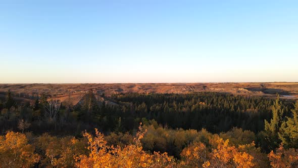 Drone aerial footage revealing a forest in the middle of dry lands of Alberta, Canada. 4K aerial foo