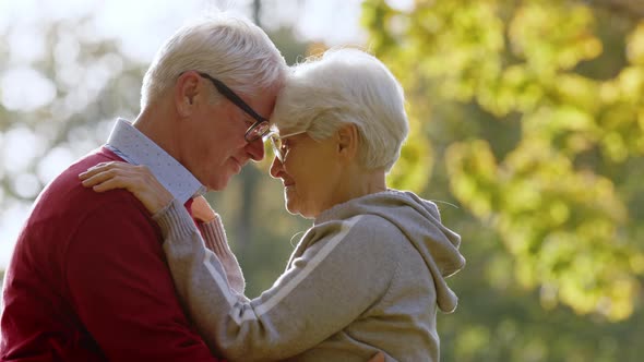 Two Caucasian Elderly Greyhaired People Hugging and Touching Each Others Foreheads