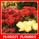 Florist Flowers - VideoHive Item for Sale