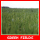Green Field Slide - VideoHive Item for Sale