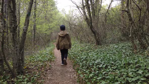 Little boy is walking through the forest. Hiking in mountain. Little discoverer