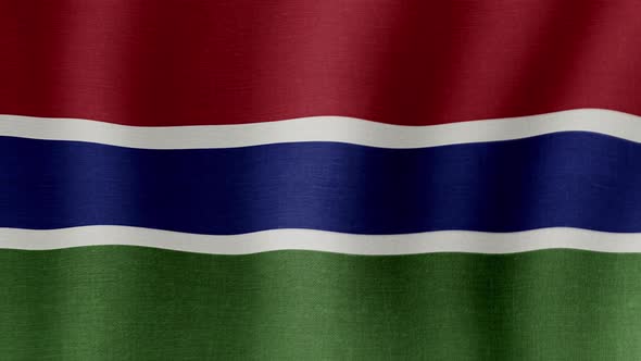 The National Flag of Gambia alt