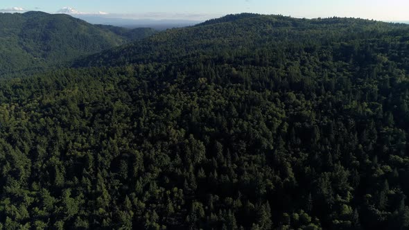 Helicopter View Of Pacific Northwest Mountain Forest With Mt Rainier In Background