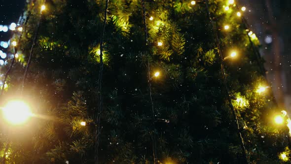 Yellow LED Lights on a Christmas Tree Decorated Outside in the Evening