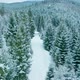 Forest Mountains Snow Cold Winter Wood Hill Frozen Travel Nature - VideoHive Item for Sale